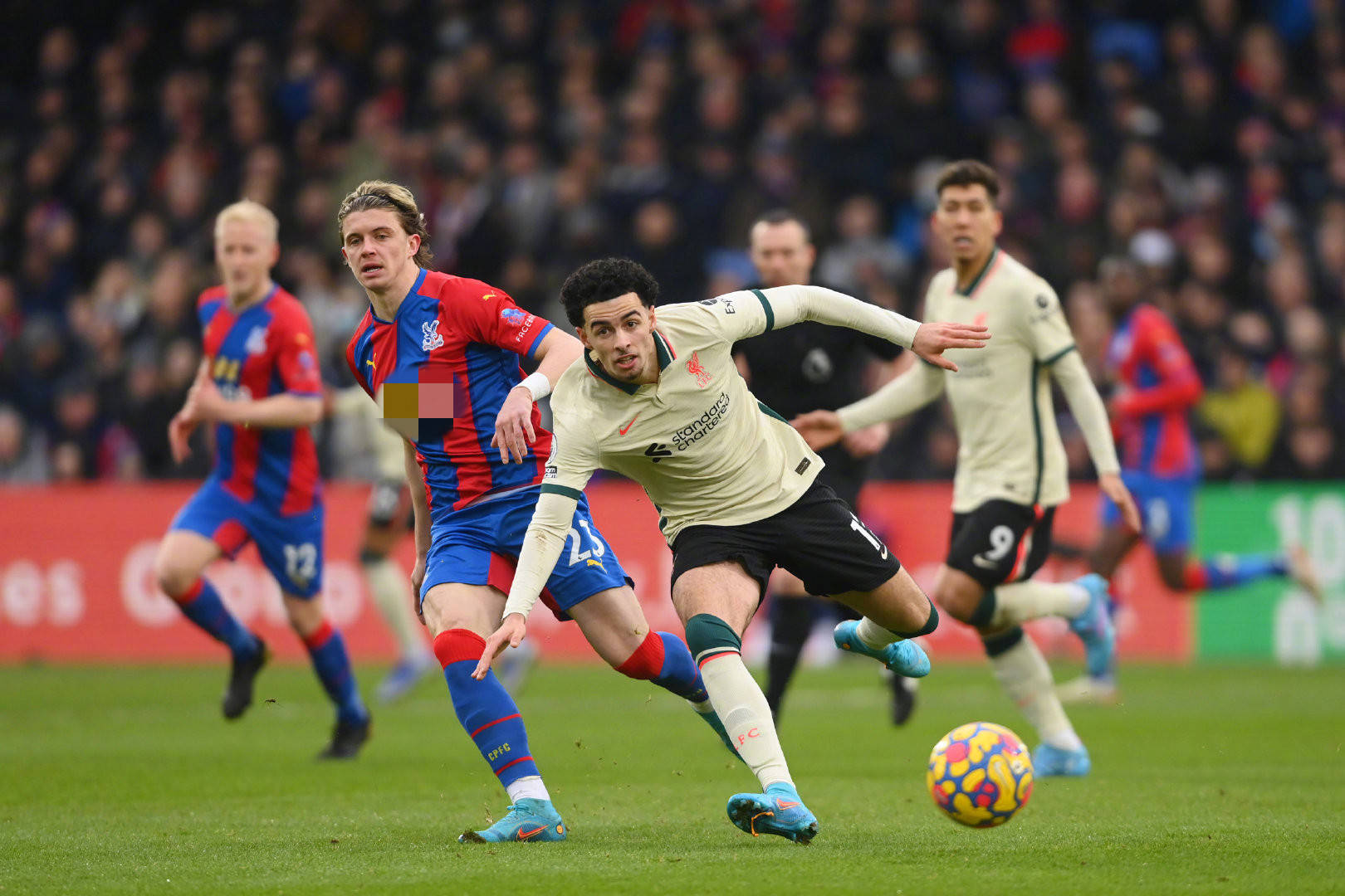 与坚韧象征 与坚韧象征